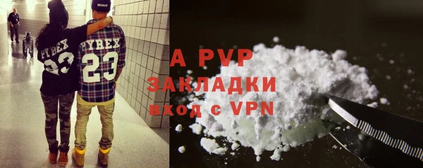 трава Белокуриха