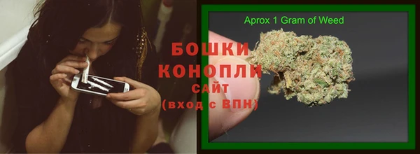 индика Богородицк