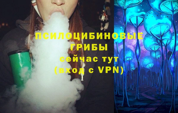 спайс Беломорск