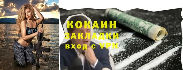 трава Белокуриха